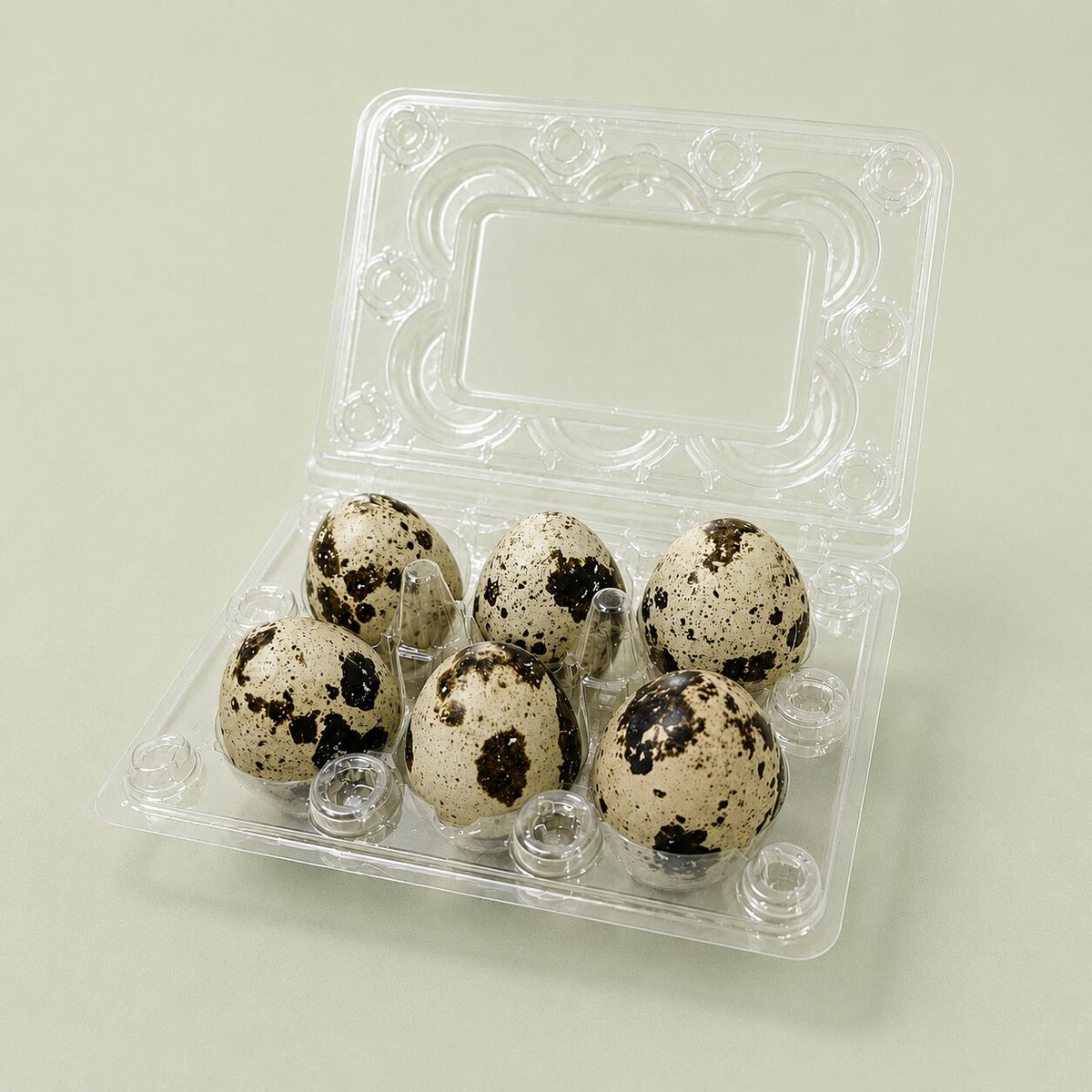 Six whole freeze-dried quail eggs for dogs and cats in a clear egg carton