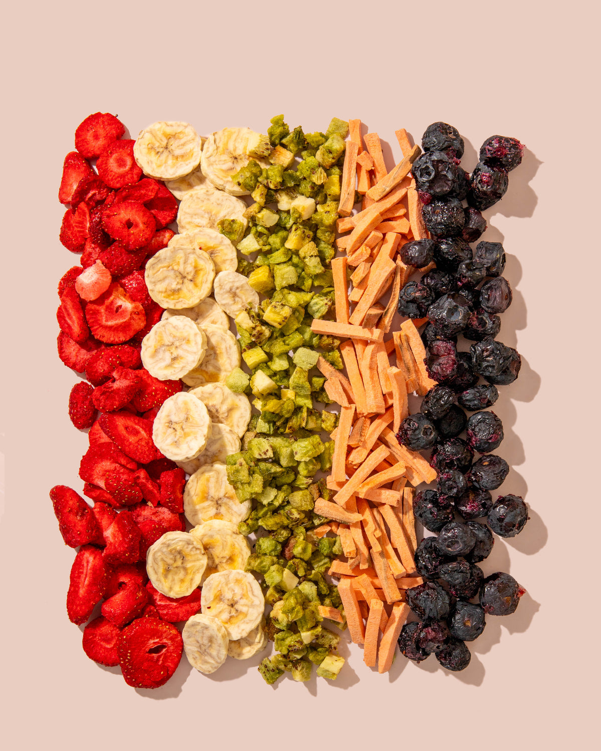 Freeze-Dried Blueberry Pet Treats – Healthy Snacks for Dogs, Cats, Parrots & Small Pets