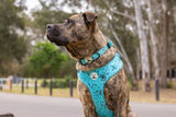 Adjustable Comfort Dog Harness - DANDELION Pattern