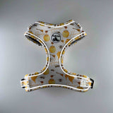 Adjustable Comfort Dog Harness: HONEY Pattern