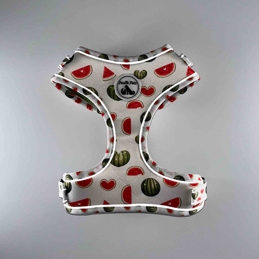 Adjustable Comfort Dog Harness - WATERMELON Pattern