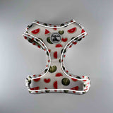 Adjustable Comfort Dog Harness - WATERMELON Pattern