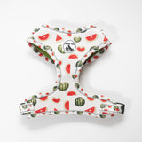 Adjustable Comfort Dog Harness - WATERMELON Pattern