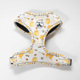 Adjustable Comfort Dog Harness: HONEY Pattern