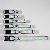 Dinosaur-themed Reflective Adjustable Comfort Collar - Pookie Pets