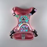 REFLECTIVE Comfort Explorer Dog Harness: LEOPARD PRINT Pattern