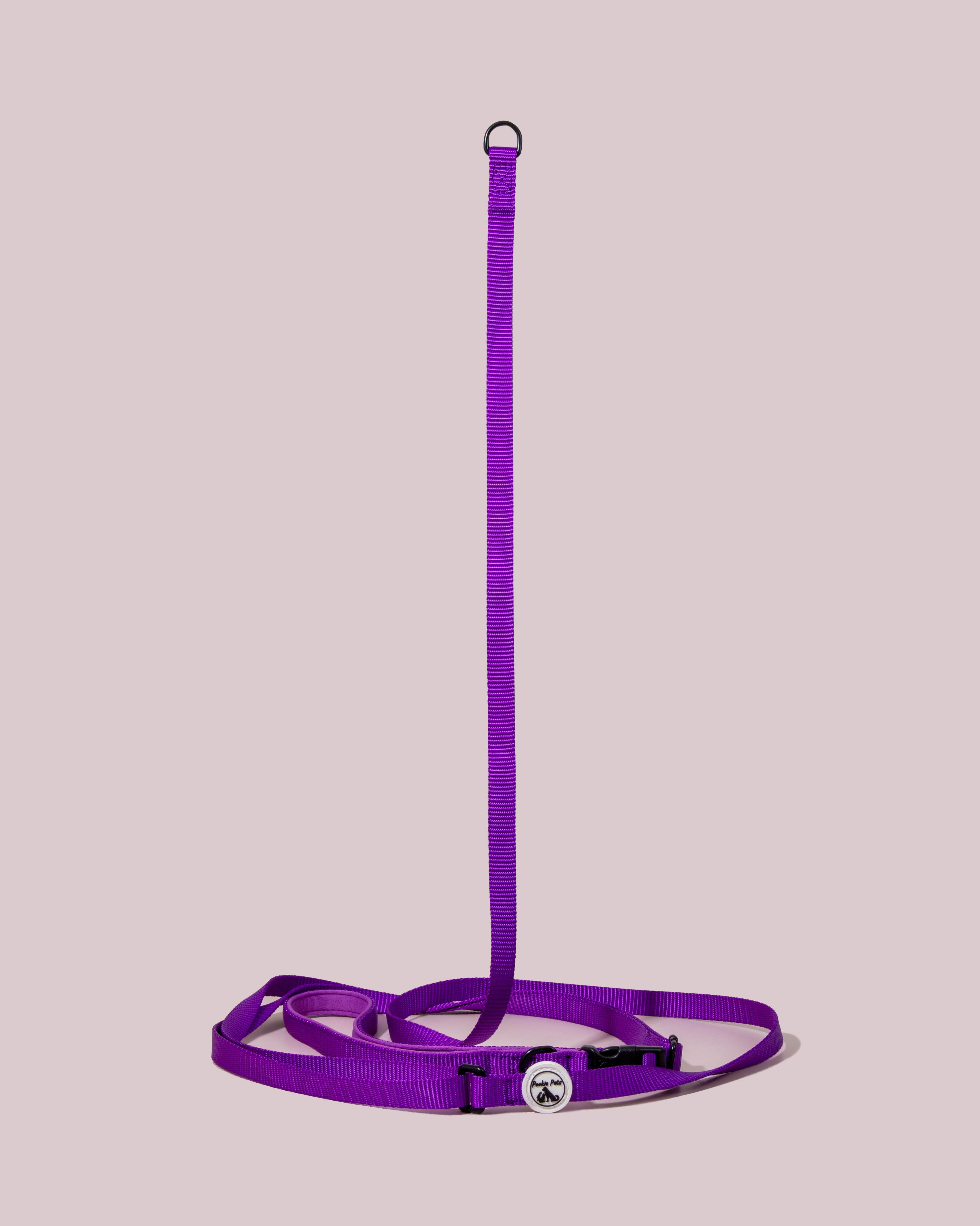 purple adjustable slip leash for small and large dogs