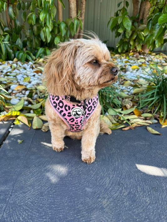 REFLECTIVE Adjustable Comfort Dog Harness: LEOPARD PRINT