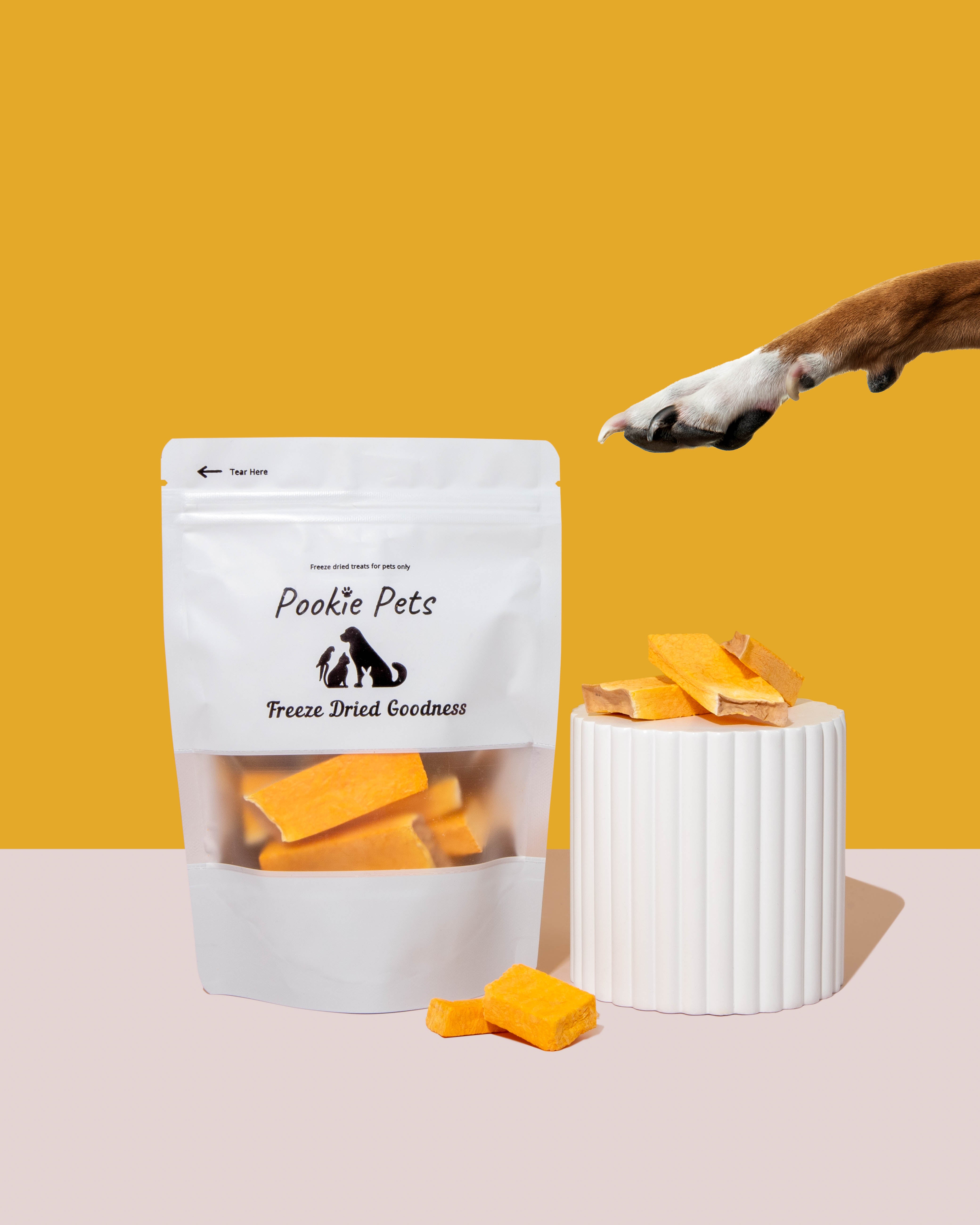 Freeze-dried pumpkin slices for pets – orange, fiber-rich veggie snack to support digestion by Pookie Pets
