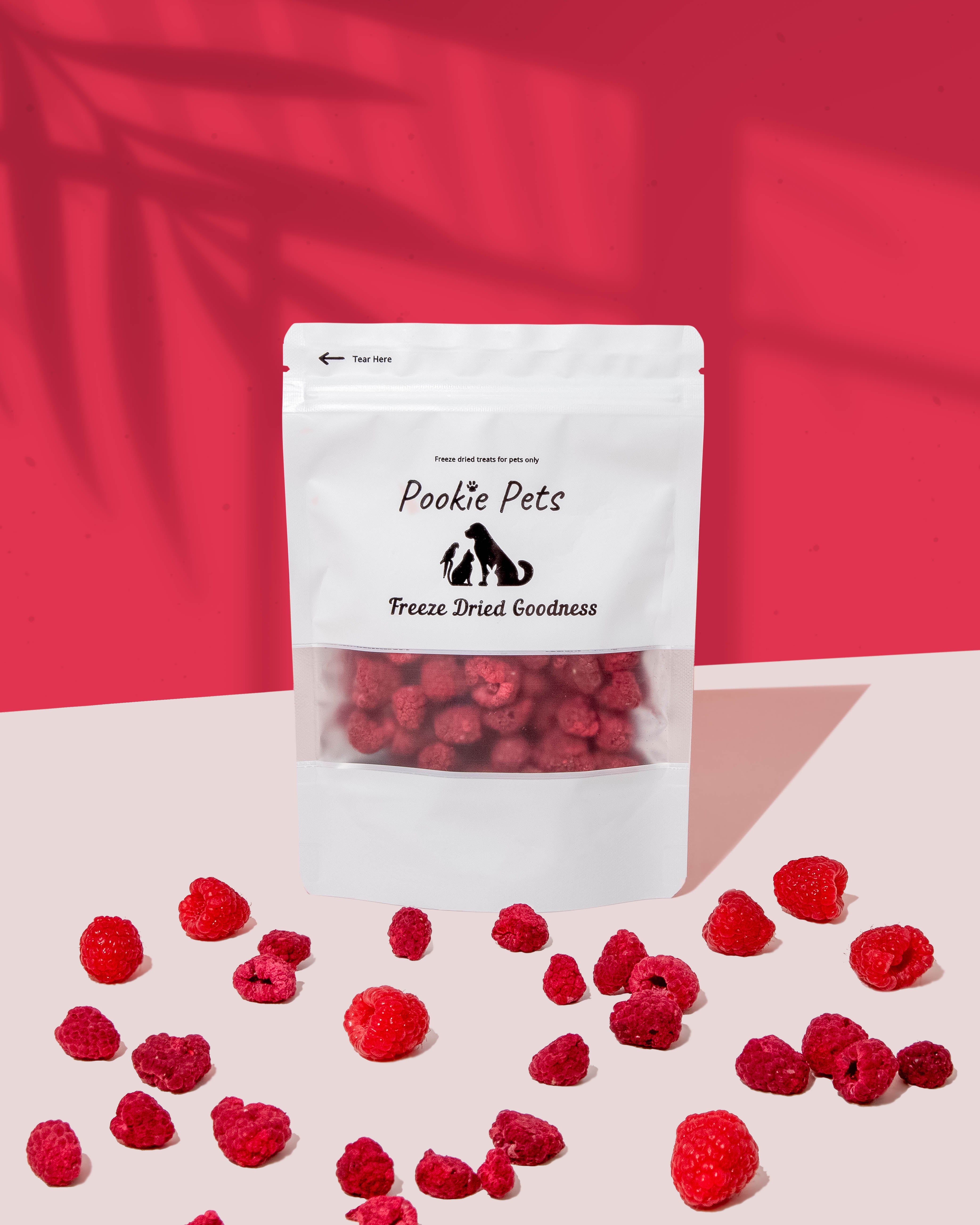 Freeze-dried raspberries for pets – tart red berries packed with antioxidants in Pookie Pets resealable pouc