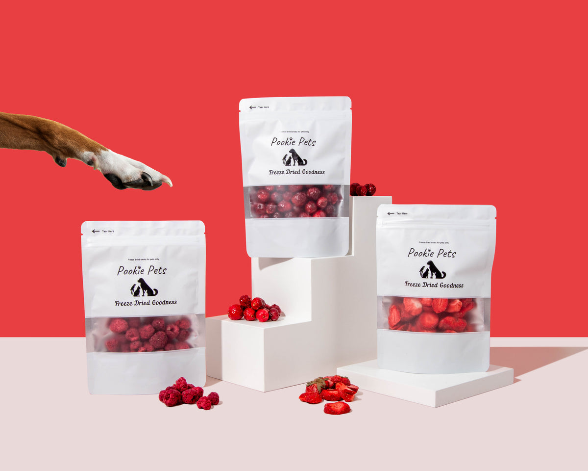 Freeze-Dried Raspberries for Pets – Antioxidant-Packed Snack