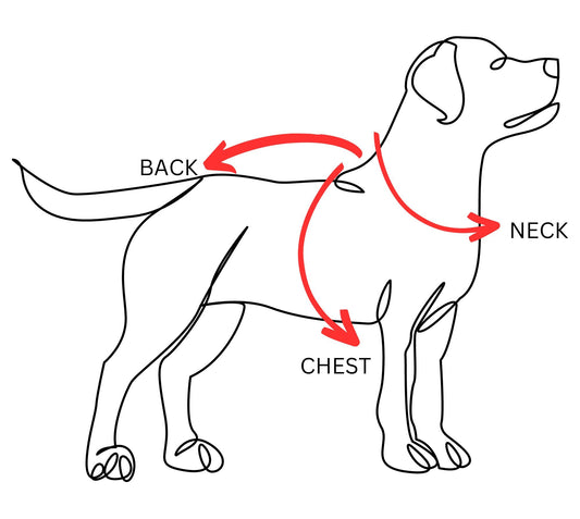Dog Harness Size Guide