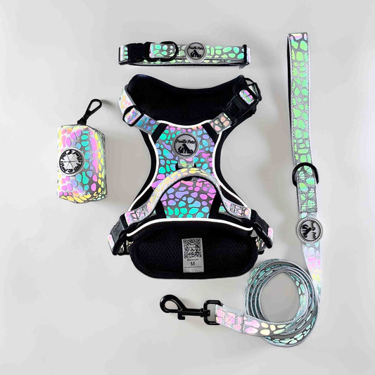Why should my dog wear a reflective harness, leash and collar?