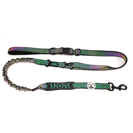 Why should I use a multi-functional dog leash?