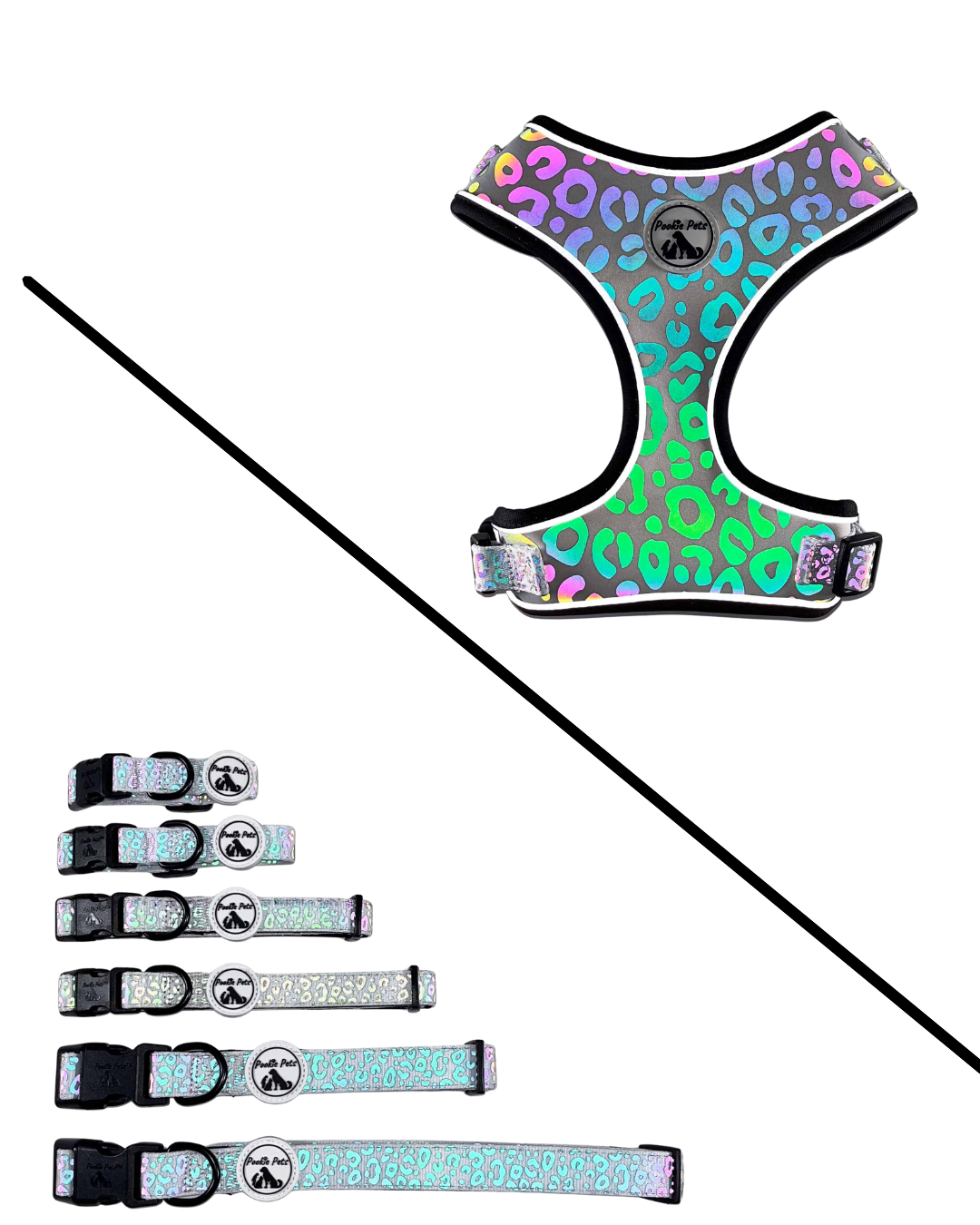 Reflective harness VS Collar