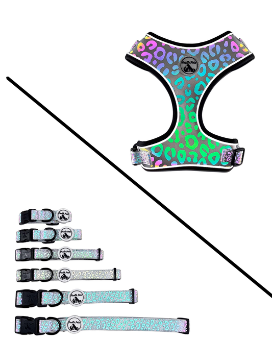 Reflective harness VS Collar