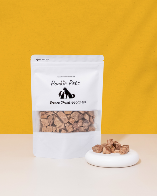 Freeze Dried vs Baked Dog Treats: What’s Better?