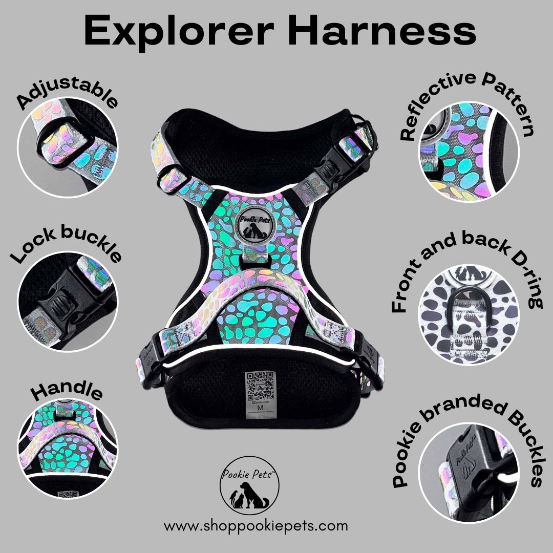 Harness with front and back D ring