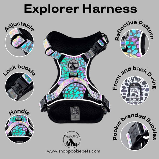 Harness with front and back D ring