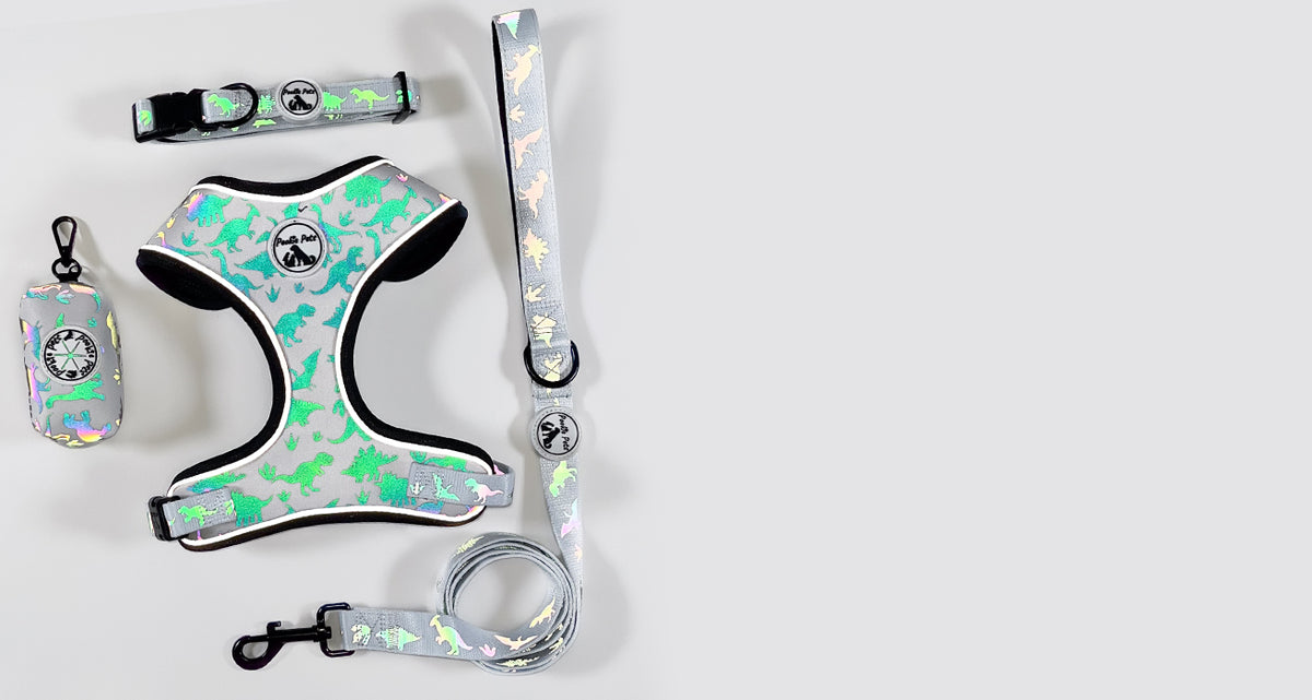 AUSTRALIA’S NEXT-GEN REFLECTIVE DOG HARNESS