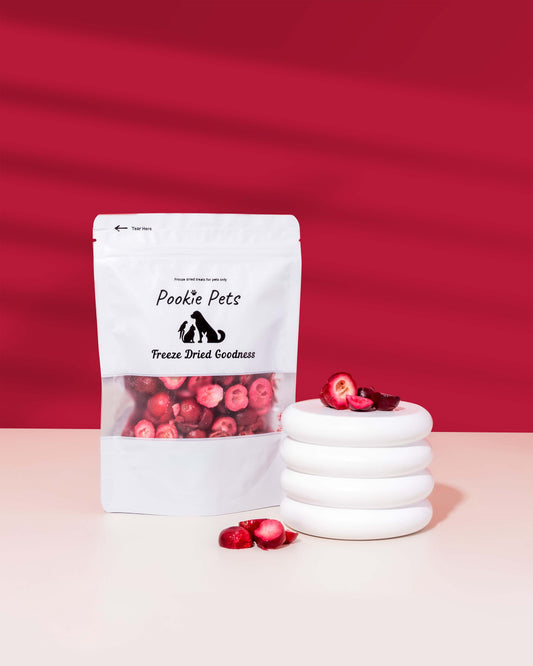 Cranberry superfood pet treats antioxidant and vitamin rich for all pets
