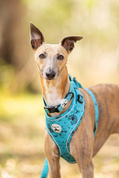 Adjustable Comfort Dog Harness - DANDELION Pattern