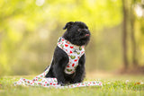 Dog Poop Bag Dispenser: WATERMELON Pattern