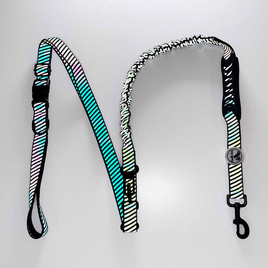 Multi-Functional Dog Leash for Ultimate Convenience by Pookie Pets