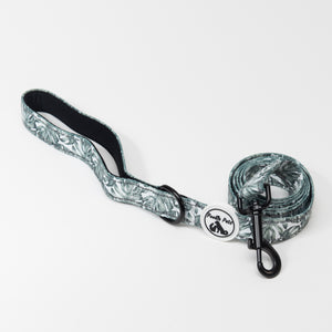 Dog Leash | Premium Dog Lead Australia | Small, Medium & Large Dogs