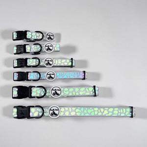 Reflective Dog Collar for Night Safety | Adjustable Comfort Collar
