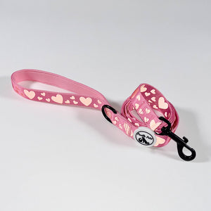 Reflective Patterned Dog Leash | Vet Endorsed Night Safety Lead