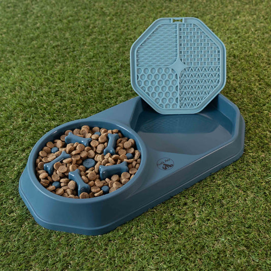 Slow Feeder & Lick Mat Dog Bowl