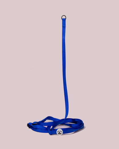 blue hands-free dog leash for jogging and hiking