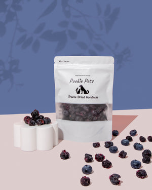 Freeze-Dried Blueberry Pet Treats – Healthy Snacks for Dogs, Cats, Parrots & Small Pets