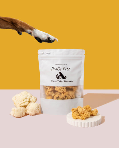 Freeze-dried cauliflower for pets – light, crunchy white veggie snack made from 100% raw cauliflower by Pookie Pets